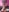 ASTRIDCHAT xtreme bondage tits Pic 6