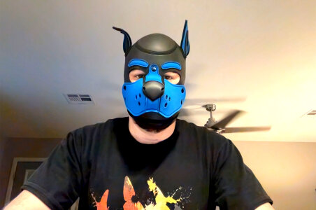 cub1Zor cub1zor Tha Pup Fotka 3