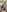 ChocolateCakeQueen Muslim Hijabi gets naughty ✨🤲🏽 Foto 3
