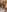 GangBangKitty Creampie Photo 6