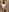 baby_brownie Flashing (PART 2) 사진 5