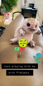 Sexy_ebony_BunNey Public . fénykép