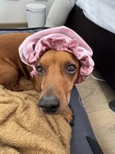 veronica_taylor1 My Life 💫🌺 Pic 4