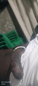 pauloclyton Public Εικόνα