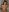 ニャーニャー de Maekko Fotos 6
