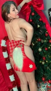 Miiss_Aurora_ Happy Holidays зображення 3