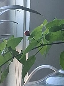 LaloSalamanca69 Public Immagine  7