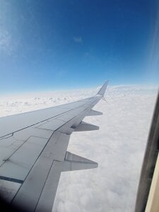 Elcordobes420 Public Pic 4