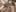 lvrmix LINGERIE BUNDLE ~ Pic 5
