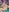 Margo__dream Shenhe Topless - Genshin impact Pic 7