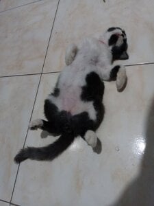 MaxyRyanphotos studio ghibli 😍😍 Bild