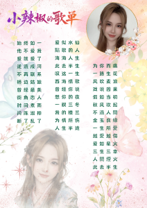 Sweet-SmallChili 歌单 Pic 4