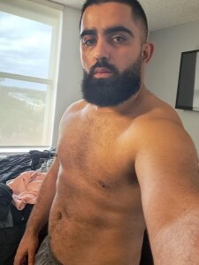 Zayn_Stallion