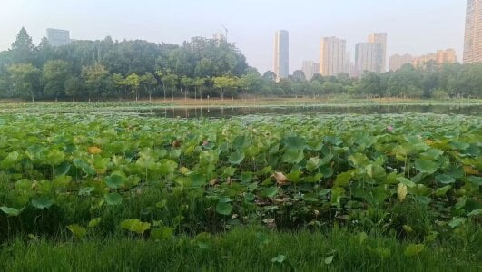 Xiaoxiao-258 游玩 Hình