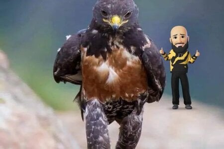 letzplay86 Public зображення