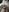 anonymity_awaits@xh Awaits XXX Collectables Just 4U Pic 8