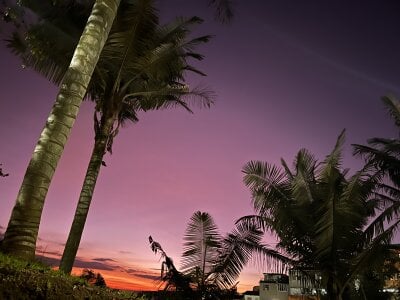 RonaldThompson__ Beautiful things Foto 5