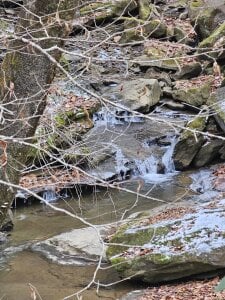 MasterForgedRayy: Outdoor Adventures With MFR ( 4 фото)