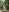 lil_martian t-horny nature ;D Pic 5