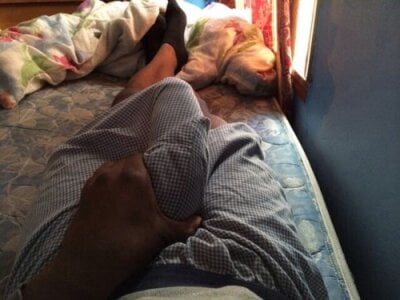 Zorroalf Ven te espero Foto 3