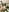 Radiants_two Ari's nude pussy photoset Pic 6