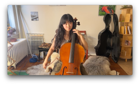 chiloschista Public Pic