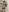 Melissarichard__Elegance, sensuality and mischief照片 5