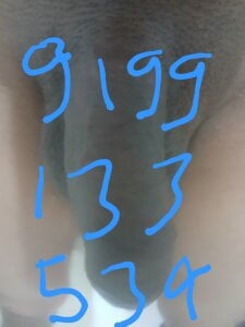 salmanshkh Public Pic 5