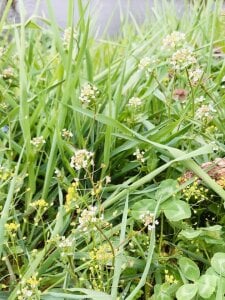 HinaLovely My life รูป 