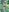 IconaDidiFit Tease in Nature照片
