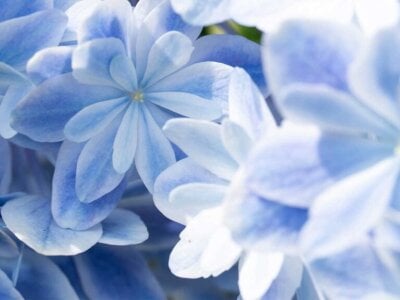 MOEMOE-Q Public slika