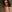 Moxy_Foxy Let's take a bath Pic 6