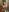 EditaBluett 🔥Hot baby Bonnie🔥 Foto 2