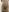 SamanthaVibeMeFuck that girl照片 4