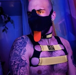 Public de danix_wild_wolf  Imagens