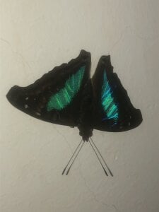 arroba-Go_Go: G_G 🔥 ( 5 фото)