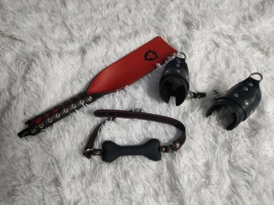 MasterKorsa Hardcore devices Pic 2