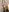 BeckyDwinellのYou want to see me in stockings? ;)の 3枚の写真