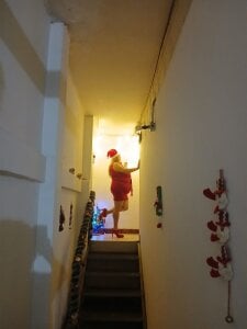 EllisW8 Christmas Pic 2