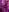 NickyGold_OfficialJana & Nadjaheld in the Spar照片 4