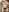 GingerSnap33 Live Stream Pictures Pic 2