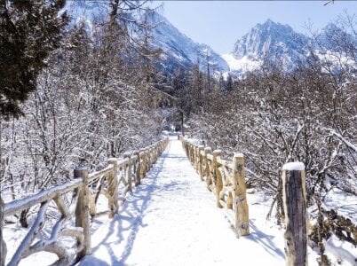 big_snakee kullanıcısının Public albümü -  2 fotoğraf