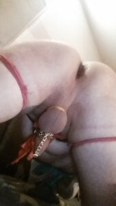 Ui fick da rein de Demtoy18  Imagens