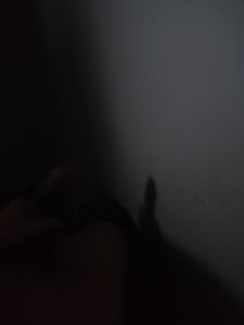 rdan13 Public Fotka 4