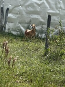 brenda_moris01 My Trip😎  2টি ছবি