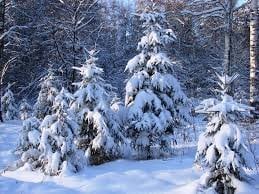 PetraHambelton my fav vibe Pic 2