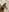Dakota_Blare latex body Pic 6
