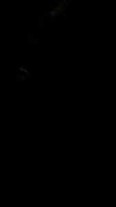 felak Public зображення 2