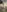 Indianmayaxoxo Mayas Boobs Closeup 사진 5