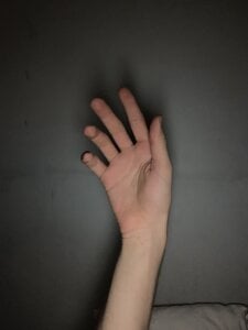 Dustswann Public Foto